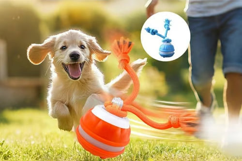 Smart Rolling Pet Ball ~ Turn boredom into chase time for your dog.