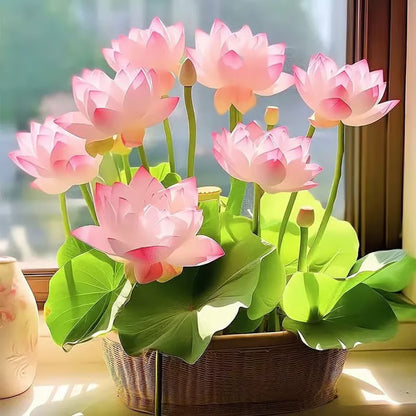 Lotus Flower Seeds ~ Because inner peace won’t sprout on its own.