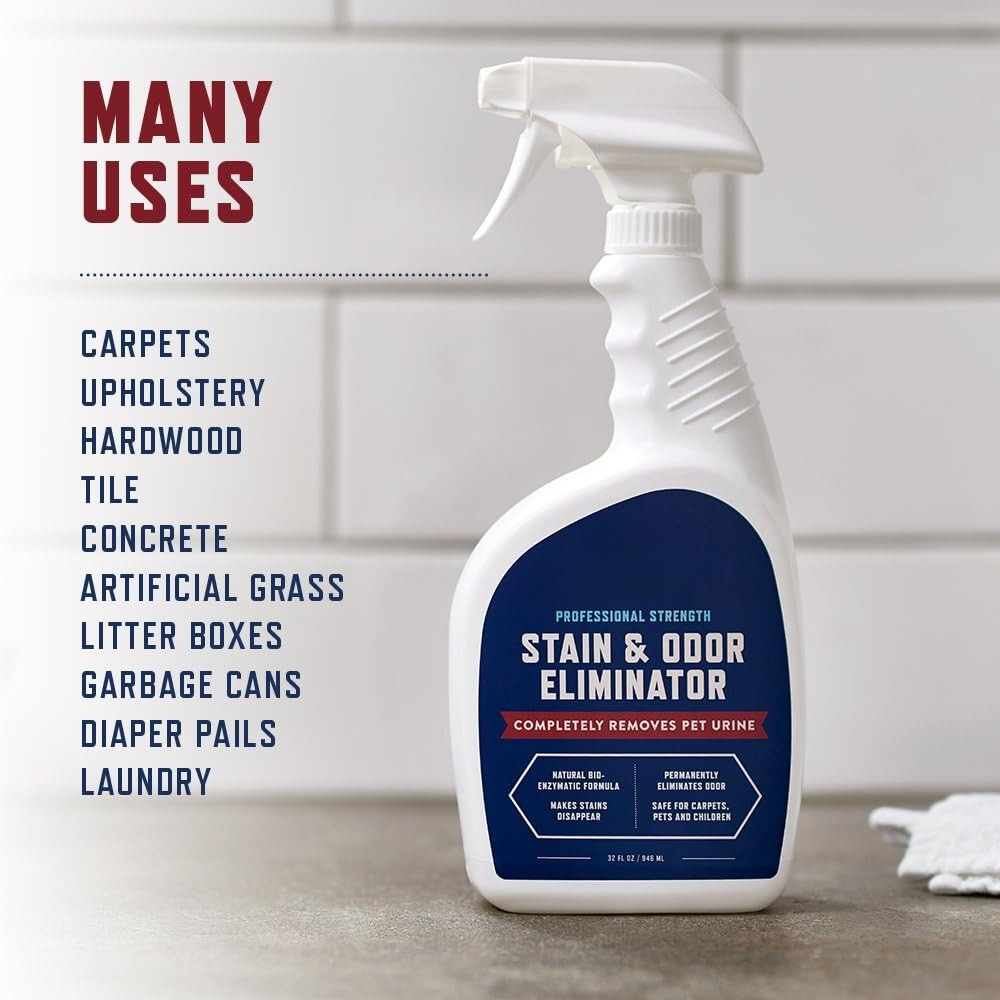 Stain & Odor Eliminator Spray ~ Lift urine, vomit, and odors with enzyme-powered cleaning