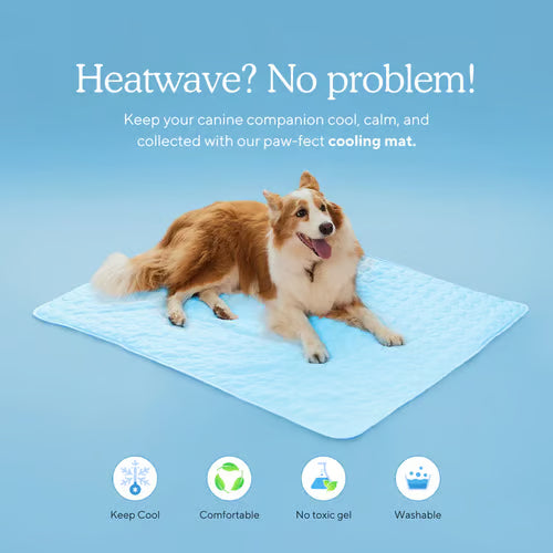 Dog Cooling Mat ~ Instant heat relief without freezing or plugging in