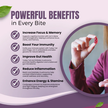 Mushroom Gummies ~ Support memory, immunity & mental performance