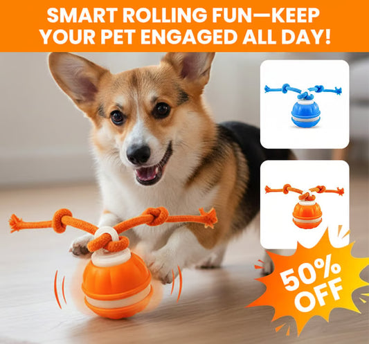 Smart Rolling Pet Ball ~ Turn boredom into chase time for your dog.