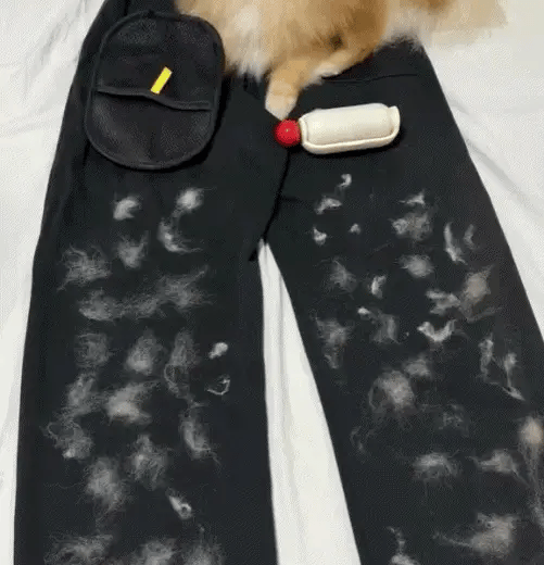 Electrostatic Pet Hair Removal Grooming Gloves ~ Instant fur removal & gentle pet grooming