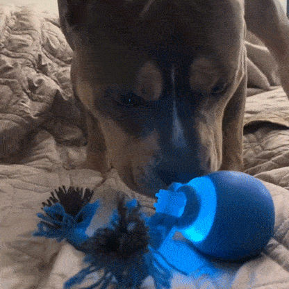 Smart Rolling Pet Ball ~ Turn boredom into chase time for your dog.