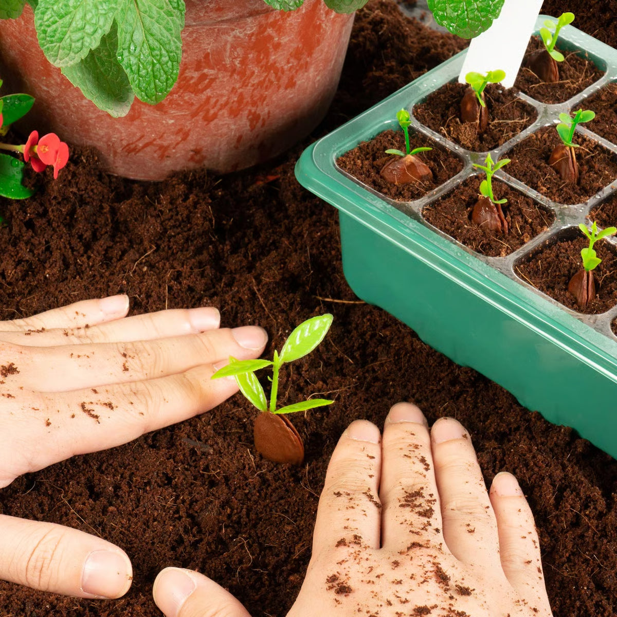 Adjustable Humidity Seed Starter Trays ~ Grow herbs and veggies with ease.
