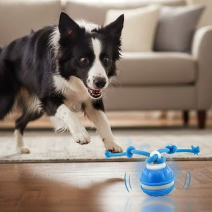 Smart Rolling Pet Ball ~ Turn boredom into chase time for your dog.