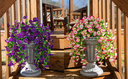 Hanging Morning Glory ~ Year-round floral charm, no watering needed