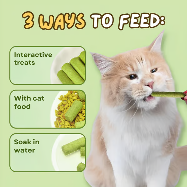 Cat Grass Teething Sticks ~ Daily treat for fresher breath & fewer hairballs